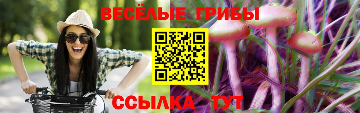 Псилоцибиновые грибы Psilocybine cubensis  Вход с VPN  Владивосток 