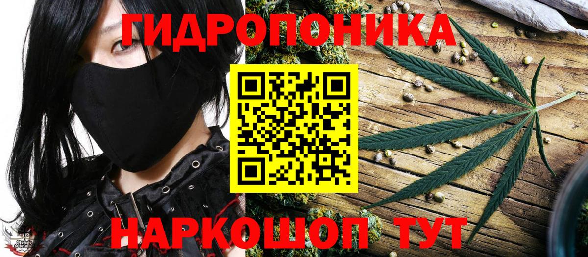 Марихуана Bruce Banner Владивосток
